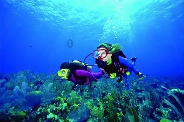 送餐、送服务、送“氛围组”，海底捞外送“欢乐宴”受追捧